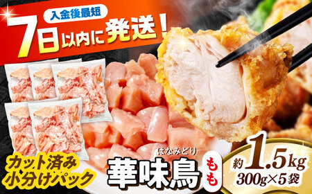 ؖ  1.5kgi300g×5܁j Jbgς 쓇Y /@{  Ƃ  { Ⓚ / 쓇s / ГnuC[[SFS009]