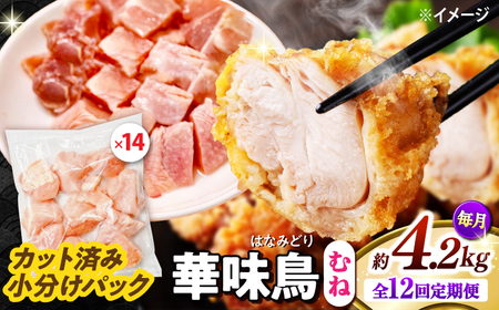y12ցzؖ ނ˓ 4.2kgi300g×14܁j Jbgς 쓇Y /@{  Ƃ l {ނ˓ Ⓚ e / 쓇s / ГnuC[[SFS020]