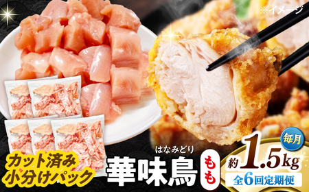 y6ցzؖ  1.5kgi300g×5܁j Jbgς 쓇Y /@{  Ƃ  { Ⓚ / 쓇s / ГnuC[[SFS022]