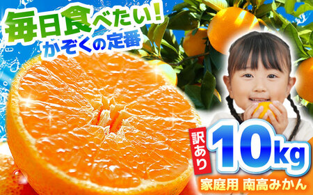 y2025N12{`zy󂠂zƒp 썂݂ 10kg / ݂ ~J  ʕ t[c / 쓇s / 썂ʎ_Ƌg[SGI002]
