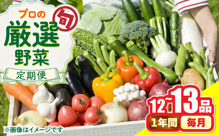 [12回定期便]野菜のプロが選ぶ 旬の野菜セット 12から13品目 野菜定期便 / 野菜 やさい セット 新鮮 / 南島原市 / 愛2農園