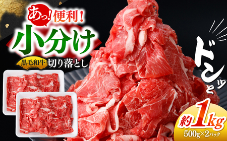 長崎県産 牛肉切り落とし1kg [SBA093] 牛肉
