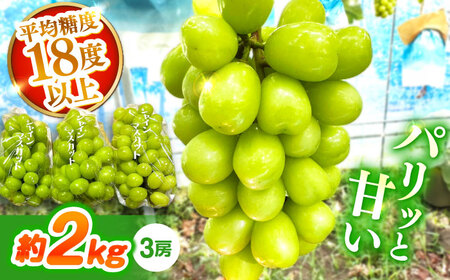 y2026N7`zVC}XJbg 2kgi3[j/ VC}XJbg Ⴂ܂ Ԃǂ uhE / 쓇s / K}_XԂǂ[SGL001]