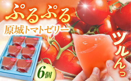 y2026N5`zg}g[[ 6 / [[ [ fU[g Ƃ܂  / 쓇s / {ٕ[SFV007]