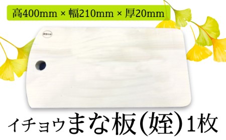 [2024年6月下旬〜発送][水切りに便利な壁掛け穴]イチョウ まな板(姪) / 南島原市 / 森永材木店 