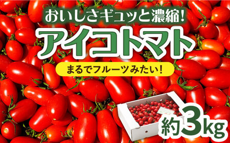 【完熟ミニトマト】アイコトマト_約3kg