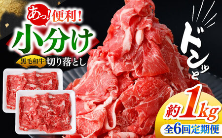 【6回定期便】国産 黒毛和牛 熟成肉 切り落とし計1kg(500g×2パック)/ 小分け 国産牛 お肉 牛肉 切落し 冷凍 焼肉 すき焼き / 南島原市 / ふるさと企画[SBA096]