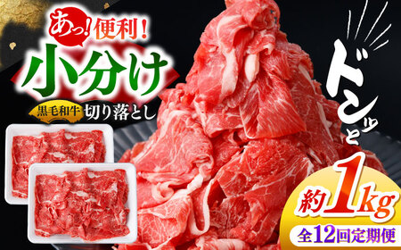 【12回定期便】国産 黒毛和牛 熟成肉 切り落とし計1kg(500g×2パック)/ 小分け 国産牛 お肉 牛肉 切落し 冷凍 焼肉 すき焼き / 南島原市 / ふるさと企画[SBA097]