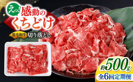 [6回定期便]国産 黒毛和牛 熟成肉 切り落とし 500g / 小分け 国産牛 お肉 牛肉 切落し 冷凍 焼肉 すき焼き / 南島原市 / ふるさと企画