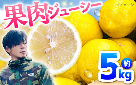 [2026年〜11月末発送]レモン 5kg 国産 希少 / れもん 檸檬 柑橘 フルーツ ふるーつ 果物 くだもの / 南島原市 / 城谷農園
