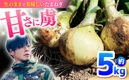 たまねぎ 5kg / タマネギ 玉葱 玉ねぎ 野菜 やさい カレー シチュー バーベキュー スープ サラダ / 南島原市 / 城谷農園