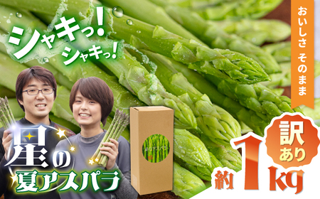 [訳あり][星のアスパラ]グリーンアスパラガス 約1kg [サイズ不揃い L〜S] / 訳アリ 規格外 産地直送 アスパラ あすぱら あすぱらがす 採れたて 新鮮 旬 産地直送 / 南島原市 / ほしのYA