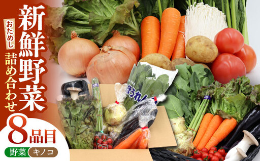 お試し野菜セット 8品目 詰め合わせ / 野菜 やさい ヤサイ 旬 新鮮 / 南島原市 / 吉岡青果