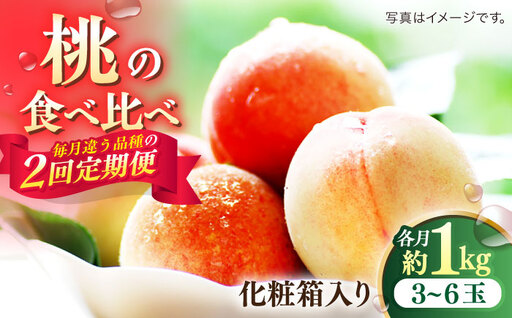 [2026年6月〜発送][2回定期便]南島原の桃を食べ比べ 化粧箱入り 計2kg 日川白鳳 夢富士 あかつき なつっこ / 桃 もも ハウス桃 フルーツ 果物 / 南島原市 / ふくはちファーム