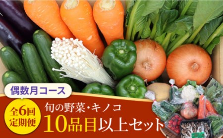 野菜とキノコの定期便 年6回【偶数月コース】 旬の野菜・キノコを10品目 盛り合わせ！ 野菜セット