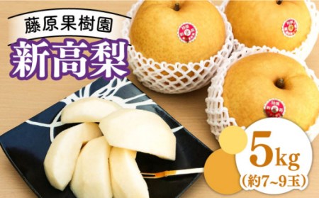 2024年9月?発送】【芳醇な香り】新高梨 5kg（約7玉?9玉）/ 梨 なし