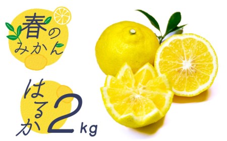 y2026N2?zyu₩n k t݂̂ z͂邩 2kg / ݂ ~J  k ʕ t[c / 쓇s / 茧_Yiʍ [SCB028]