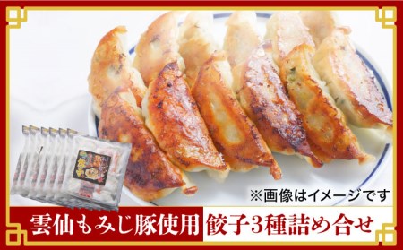 [雲仙もみじ豚使用]餃子 3種 詰め合せ / プレーン カレー バジル 南島原市 / はなぶさ 