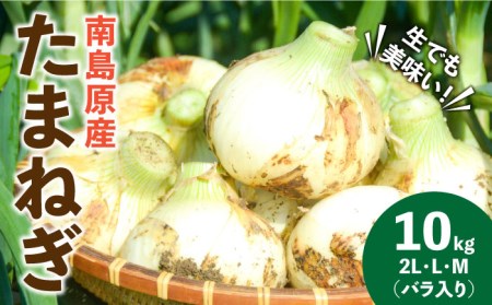 【2026年3月～発送】たまねぎ 10kg / たまねぎ 玉ねぎ タマネギ たまねぎ タマネギ タマネギ 野菜 / 南島原市 / 島原雲仙農業協同組合 南部基幹営農センター [SAB002]