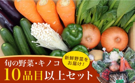 新鮮野菜 キノコ 10品目以上 詰め合わせ / おまかせ セット 南島原市 / 吉岡青果