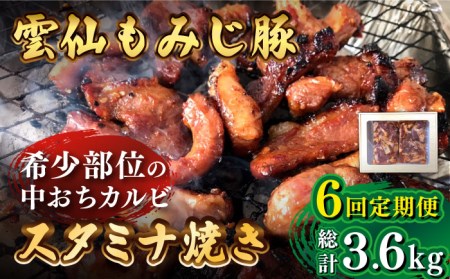 y6ցz_݂ t  Jr X^~iĂ 600g  /  ؓ Jr t tCp Ă  ē / 쓇s / ͂ȂԂ [SCN086]