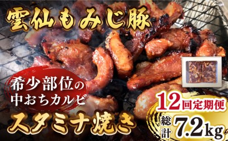 y12ցz_݂ t  Jr X^~iĂ 600g  /  ؓ Jr t tCp Ă  ē / 쓇s / ͂ȂԂ [SCN087]