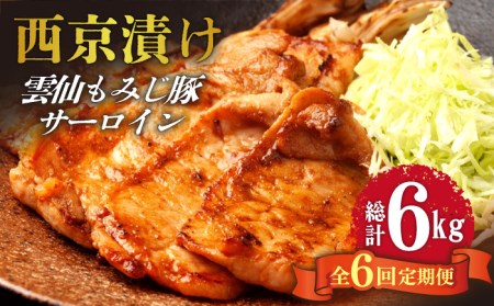 y6ցz_݂ T[C [X XЂ WZbg 1kg / ؓ Ԃ [낢 [  Ђ / 쓇s / ͂ȂԂ [SCN110]