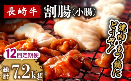 y12ցz苍 ij ēEz p 600g  /  Ȃ ₫ɂ z   / 쓇s / ͂ȂԂ [SCN117]