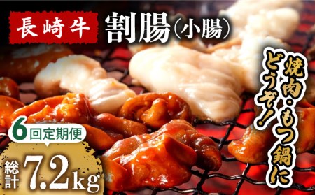 y6ցz苍 ij ēEz  p 1.2kg  /  Ȃ ₫ɂ z   / 쓇s / ͂ȂԂ [SCN119]