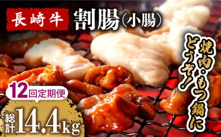 y12ցz苍 ij ēEz  p 1.2kg  /  Ȃ ₫ɂ z   / 쓇s / ͂ȂԂ [SCN120]
