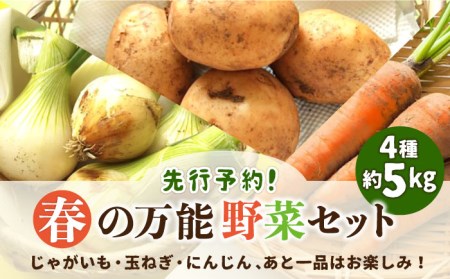 野菜セットB（キャベツ4玉・たまねぎ・じゃがいも・にんじん約4kg）4種