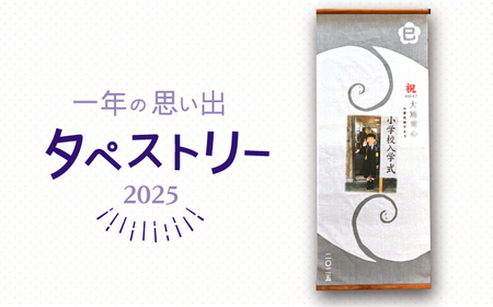 N vo ^yXg[ / 쓇s / 囸H [SDP011]