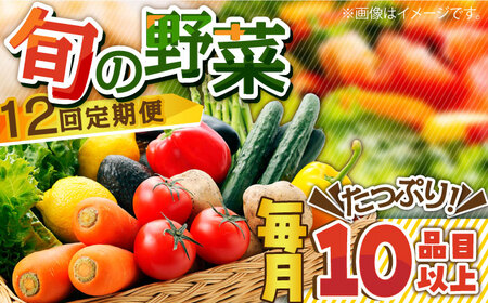 【12回定期便】地元農家さんが収穫した旬のお野菜 10種詰め合わせ / 野菜 旬 新鮮 採れたて 季節野菜 旬野菜 農家直送 野菜定期便 定期便 / 南島原市 / ミナサポ  [SCW047] 