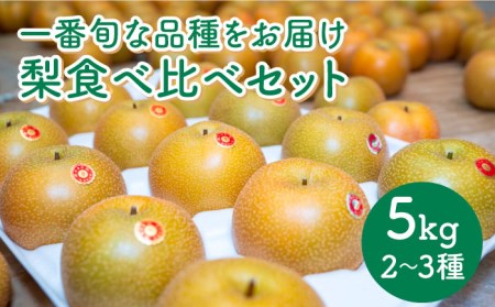 [2025年8月下旬〜発送]梨 2種以上 食べ比べ セット 5kg / 豊水 秋麗 菊水 あきづき / なし フルーツ 果物 / 南島原市 / 松尾観光梨園