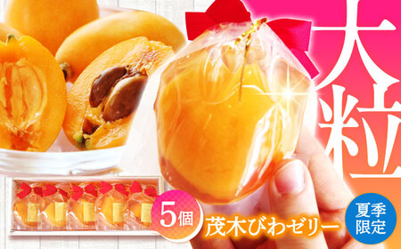 【2025年5月上旬?発送】【夏季限定】茂木びわ ゼリー 5個入 / びわ ビワ ゼリー フルーツ 果物 ギフト 贈答 お中元 / 南島原市 / 本田屋かすてら本舗 [SAW039]