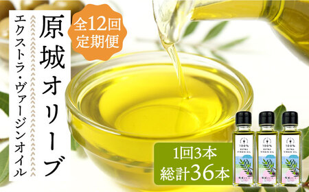 y12ցz  I[u GNXgE@[WIC  100ml 3{ / I[uIC IC   / 쓇s / ~iT| [SCW059]