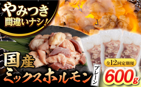 y12ցzyaz~bNXziv[j 200g×3 v7.2kg ^/Ȃ݉{[EAD097]  Y a a z o[ z~bNX  ق Ⓚ 