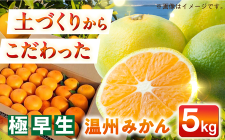 [自然の力を活かした栽培]温州みかん(極早生) 5kg -2024年10月中旬より発送- 長与町/農事組合法人希望種(きぼうのたね)[ECQ001] 温州みかん極早生みかんミカンミカンミカンミカンミカンミカンミカンミカンミカンミカン