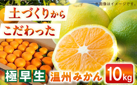 [自然の力を活かした栽培]温州みかん(極早生) 10kg -2024年10月中旬より発送- 長与町/農事組合法人希望種(きぼうのたね)[ECQ002] みかんみかん