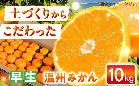 yR̗͔͂|zB݂ij 10kg -2025N11{蔭- _g@l]iڂ̂ˁj[ECQ004]  ݂ ~J k B݂ ʕ  t[c ݂