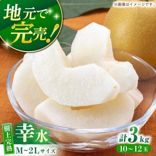 [産地直送]幸水3kg箱 M-2Lサイズ(10-12個)ー2026年8月より発送ー 長与町/つじ梨園[ECO001] 梨