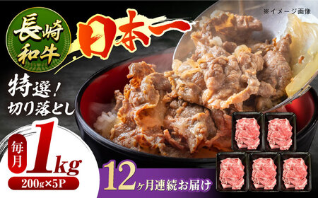 y12ցzaI؂藎Ƃ1kg[ECS020]  ؂藎Ƃ 肨Ƃ  1kg ₫ Y a A4 A5 Y؂藎Ƃ Ă Ⓚ    Ăт 12