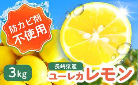 【ご家庭用】ユーレカレモン3kg 長与町/果豊園[ECL006]レモン 国産レモン 長崎レモン 九州レモン レモン
