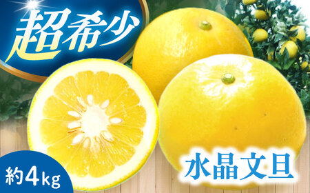[ご家庭用]水晶文旦4kg 長与町/果豊園[ECL007]文旦 水晶文旦 人気文旦 人気水晶文旦 長崎文旦 長崎水晶文旦