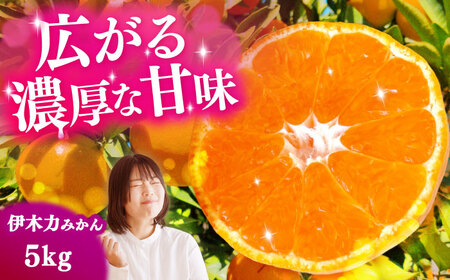 伊木力みかん 5kg（箱込み）長与町/岩永農園[EAZ006]みかんみかんみかんみかん
