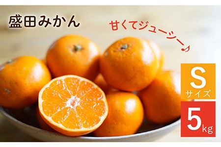 [限定限定]盛田みかん Sサイズ 約5kg(50-60個前後)ー2024年12月より発送ー 長与町/山口農園 [EBI001] みかん 