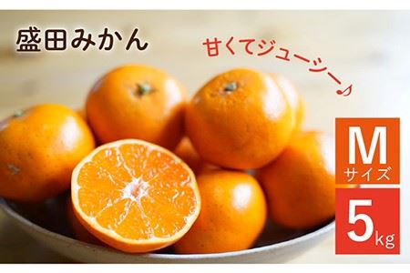 [数量限定]盛田みかん Mサイズ 約5kg (約45-55個前後)ー2024年12月より発送ー 長与町/山口農園 [EBI002] みかん 