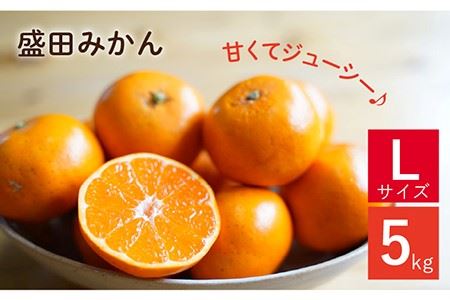 [数量限定]盛田みかん Lサイズ 約5kg(約40-45個前後)ー2024年12月より発送ー 長与町/山口農園 [EBI003] みかん 