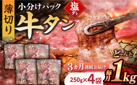 y3ցzyzBYa̋^1kg[EAX081] Y  a ^ ^ ꋍ^ _  t イ ME^ ؂ XCX t  ē Ă Ⓚ