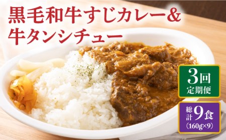 [全3回定期便] 黒毛和牛 牛すじカレー & 牛タンシチュー 毎月3食 長与町/炭火焼肉あおい [EBW007] 定期便 定期 定期便 定期 複数 定期便 毎月 定期便 届く 定期便 定期便